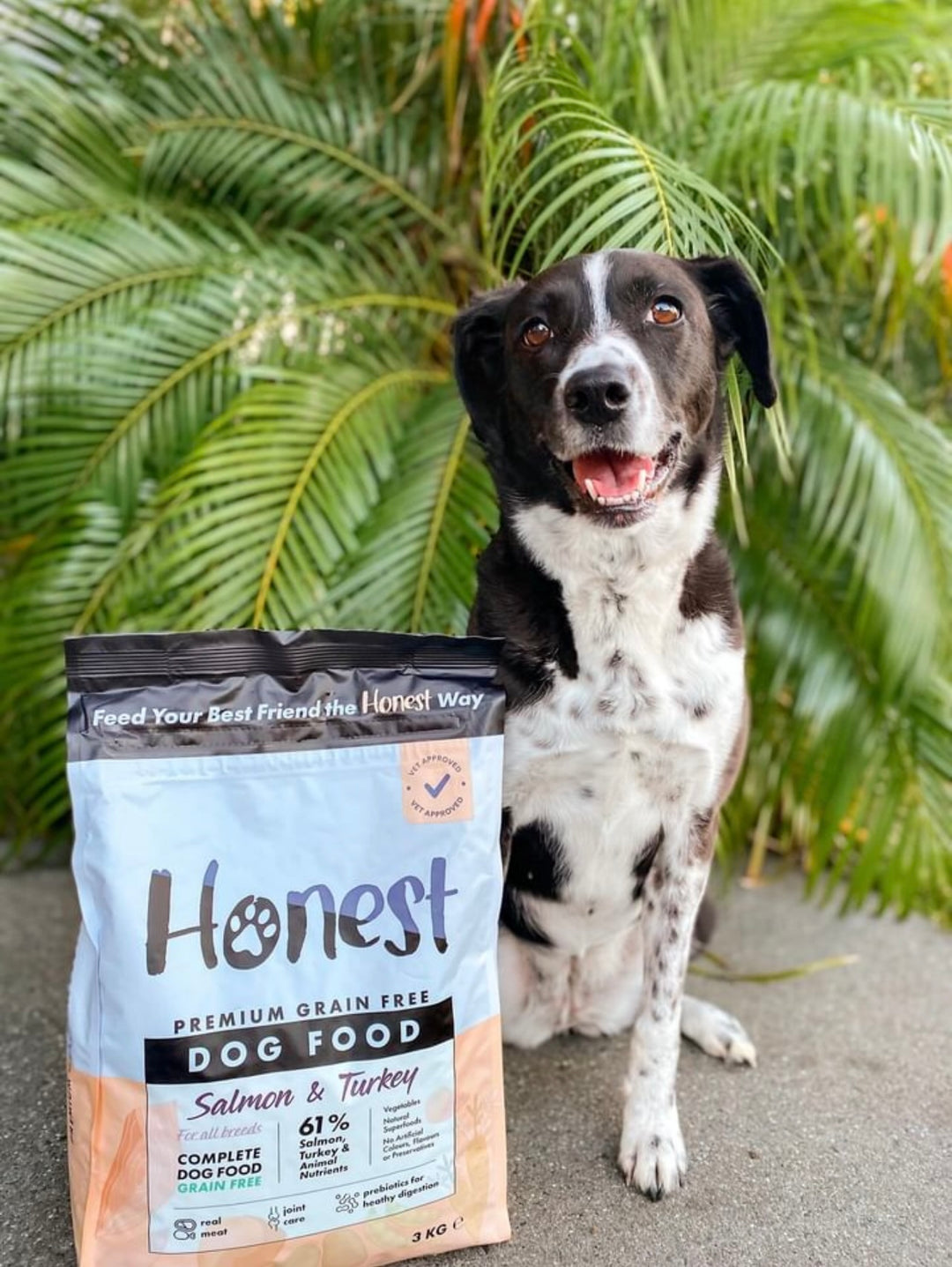 Honest Pet Collective Leia next to salmon & turkey dog food