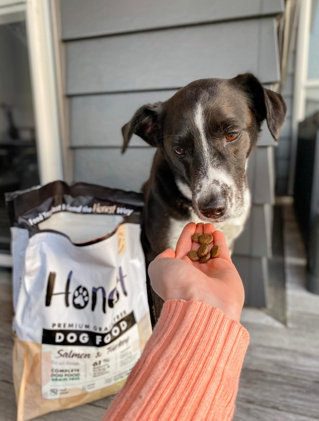 Feeding Leia honest pet collective salmon & turkey