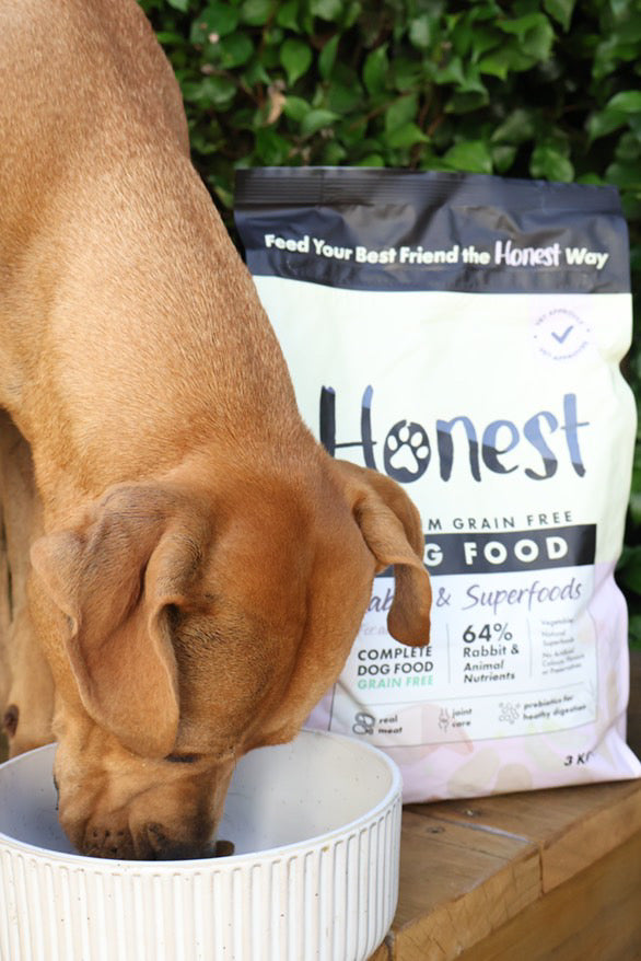 Honesty Rabbit Honest Rabbit & Superfoods | Grain-Free Dry Dog Food 3 KG – Honest Pet ...