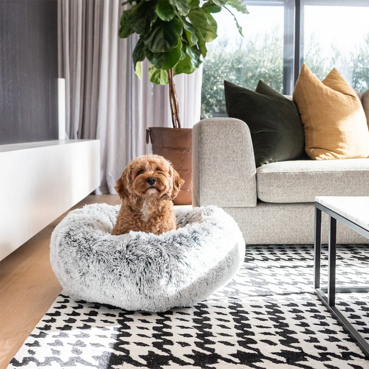 superior pet goods Curl up cloud pet bed dove, with dog