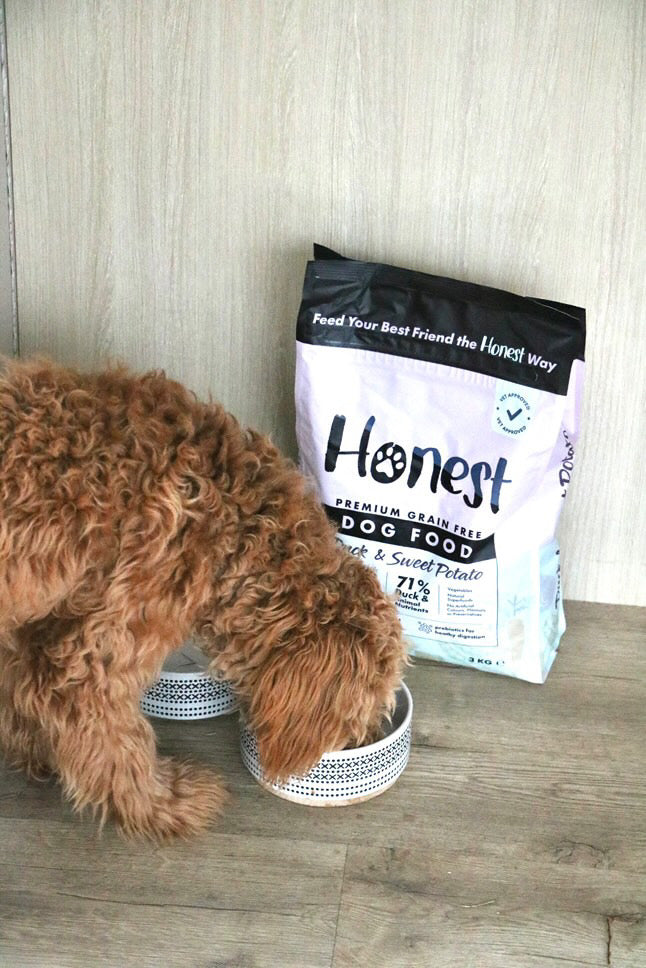 Honest Pet Collective Duck & Sweet Potato | Grain-Free Dry Dog Food 3KG