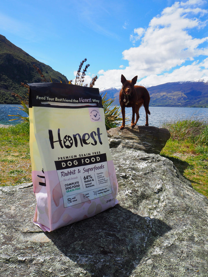 Honesty Rabbit Honest Rabbit & Superfoods | Grain-Free Dry Dog Food 3 KG – Honest Pet ...