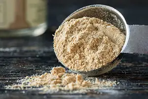 brewers yeast